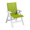 Belize Plastic Resin Folding Sling Arm Chair - Fern Green / White