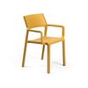 Trill Resin Dining Chair With Arms