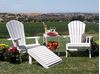 Polywood Shell Adirondack Chair