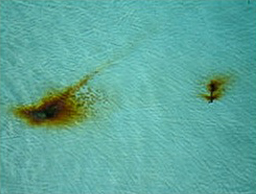 Rusted Pool Ledge