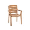 Acadia Classic Plastic Resin Stacking Armchair - Teakwood