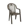 Savannah Plastic Resin Stacking Armchair