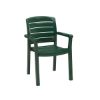 Acadia Classic Plastic Resin Stacking Armchair - Amazon Green