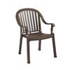 Colombo Plastic Resin Stacking Armchair - Bronze Mist