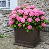 Fairfield 28" Square Commercial Planter with Impact-Resistant Frame - 45 lbs.