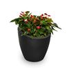 Modesto 30" Round Planter with Double-Wall Design and Polyethylene Frame - 32 lbs.