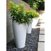 Modesto 32" Tall Planter with Double-Wall Polyethylene Frame - 9 lbs.