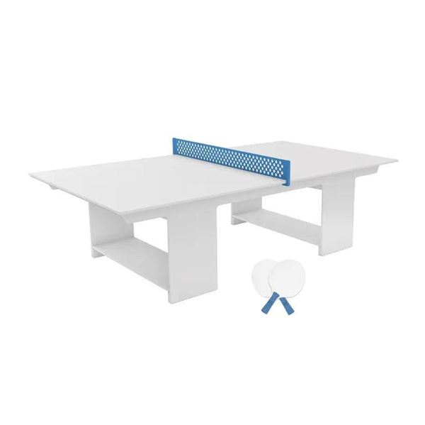 Ping Pong Outdoor Game