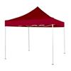 Commercial Grade Pop-Up Tent, 10'x10'