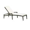Evo Chaise Lounge With Woven Frame	