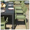 Trill Resin Dining Chair With Arms