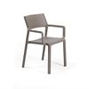 Trill Resin Dining Chair With Arms