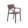 Trill Resin Dining Chair With Arms