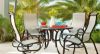 Picture of Telescope Aruba Swivel Rocker Fabric Sling with Aluminum Frame