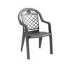 Picture of Savannah Plastic Resin Stacking Armchair, 9 lbs.