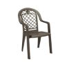 Picture of Savannah Plastic Resin Stacking Armchair, 9 lbs.