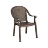 Picture of Sumatra Classic Plastic Resin Stacking Armchair, 9 lbs.