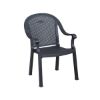 Picture of Sumatra Classic Plastic Resin Stacking Armchair, 9 lbs.
