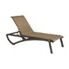 Picture of Sunset Plastic Resin Sling Chaise Lounge, 38 lbs.