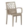 Picture of Vegetal Commercial Grade Plastic Resin Dining Arm Chair, 12 lbs.