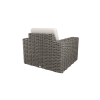 Back View of Mia Woven Cushion Club Chair in Fog Gray Finish for Outdoor Hotel Lounges