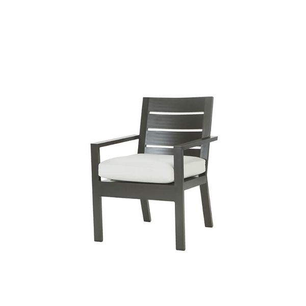 Palermo poolside dining arm chair in Graphite finish with cushion seat